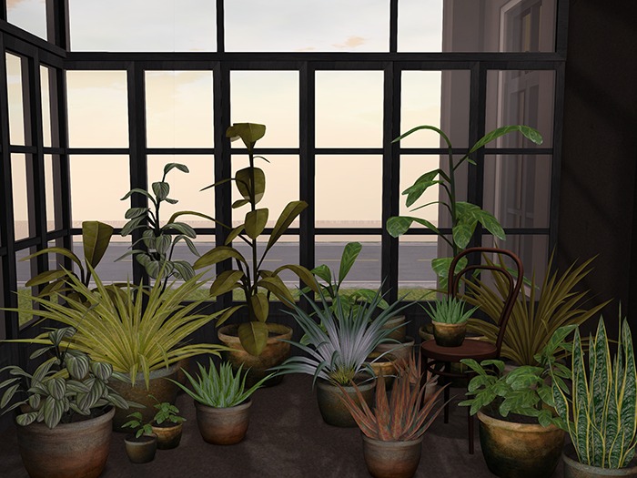 mesh potted plants